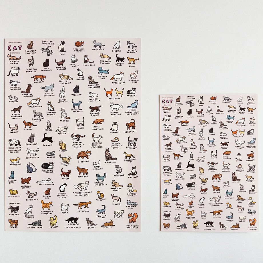 CAT 2 (A2) | Graphic Dictionary Poster | ZERO P