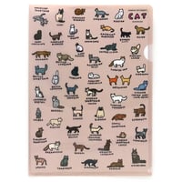 CAT 2 (DICTIONARY) | A4 folder