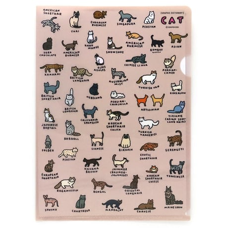 CAT 2 (DICTIONARY) | A4 folder