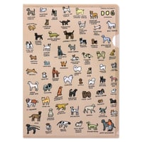 DOG (DICTIONARY) | A4 folder