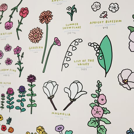 FLOWER (A3) | Graphic Dictionary Poster