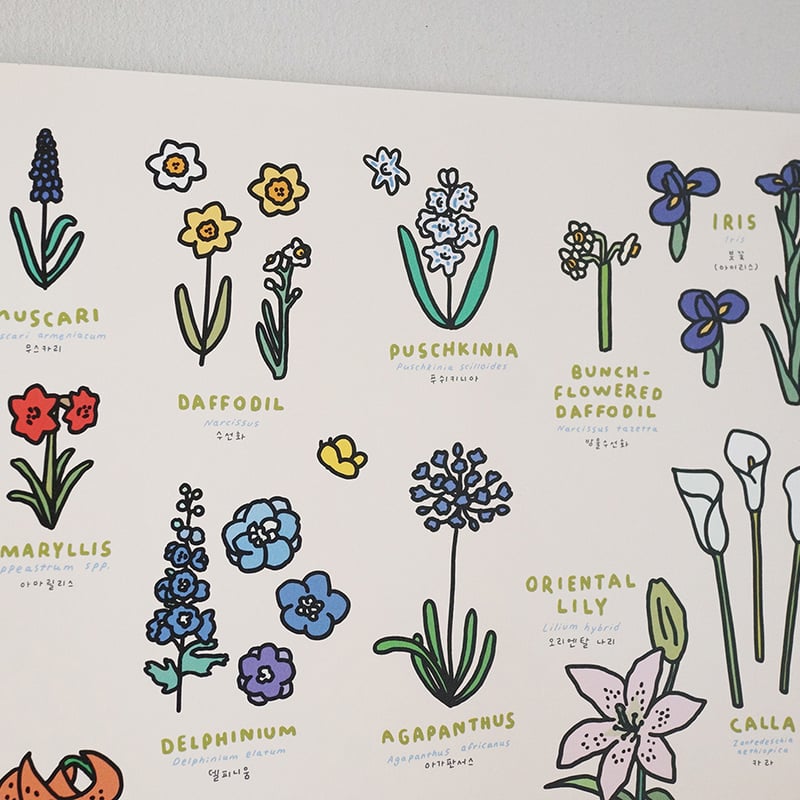 FLOWER (A2) | Graphic Dictionary Poster | ZERO