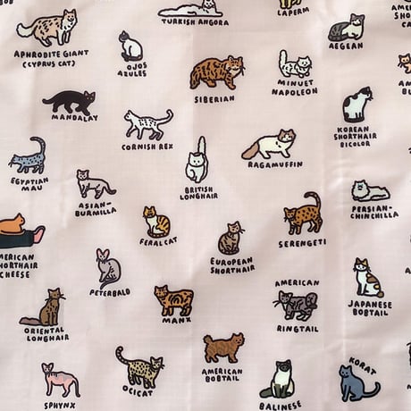 BAGGU standard CAT (GRAPHIC DICTIONARY) | BAGGU