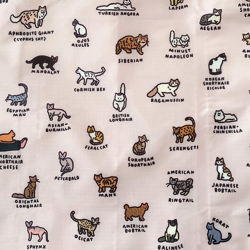 BAGGU standard CAT (GRAPHIC DICTIONARY) | BAGGU