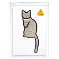 CAT | Silkscreen postcard set