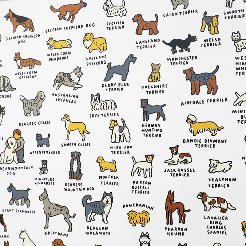 GRAPHIC DICTIONARY - DOG 2 | Silkscreen poster（