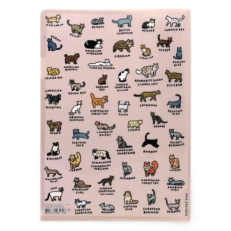 CAT 2 (DICTIONARY) | A4 folder