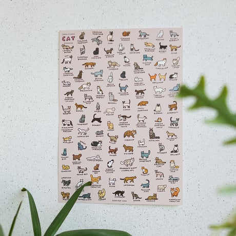 CAT 2 (600 x 900) | Graphic Dictionary Poster