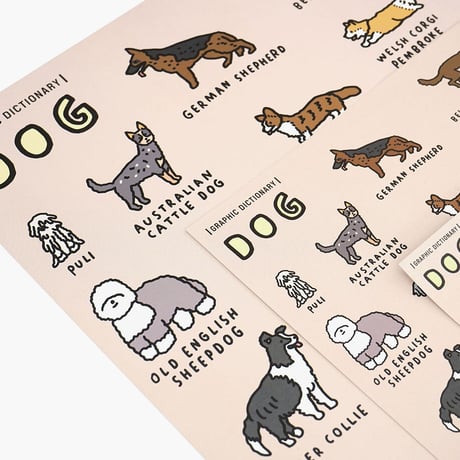 DOG BREEDS (A3) | Graphic Dictionary Poster