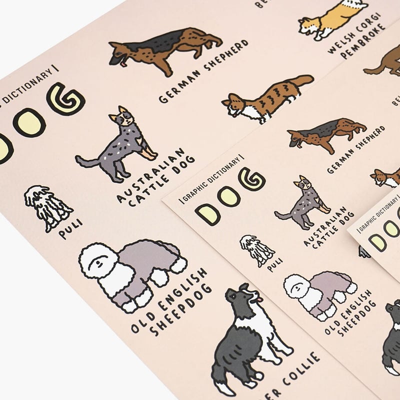 DOG BREEDS (A3) | Graphic Dictionary Poster | Z