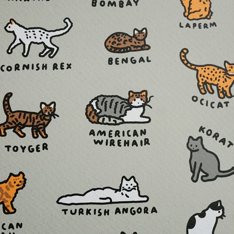 GRAPHIC DICTIONARY - CAT | Silkscreen poster（受注生産商品）