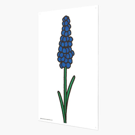 BLUEBELL | Miffy A3 RISO poster