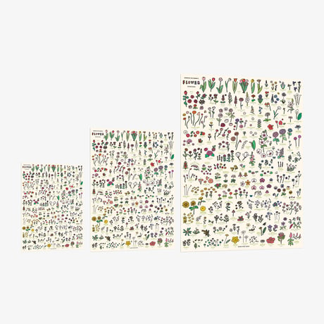 FLOWER (A3) | Graphic Dictionary Poster