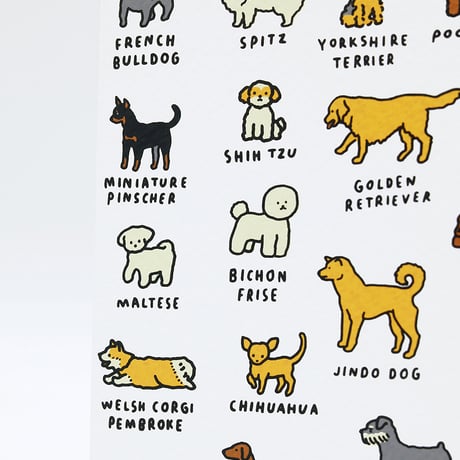 DOG DICTIONARY 1 | Postcard