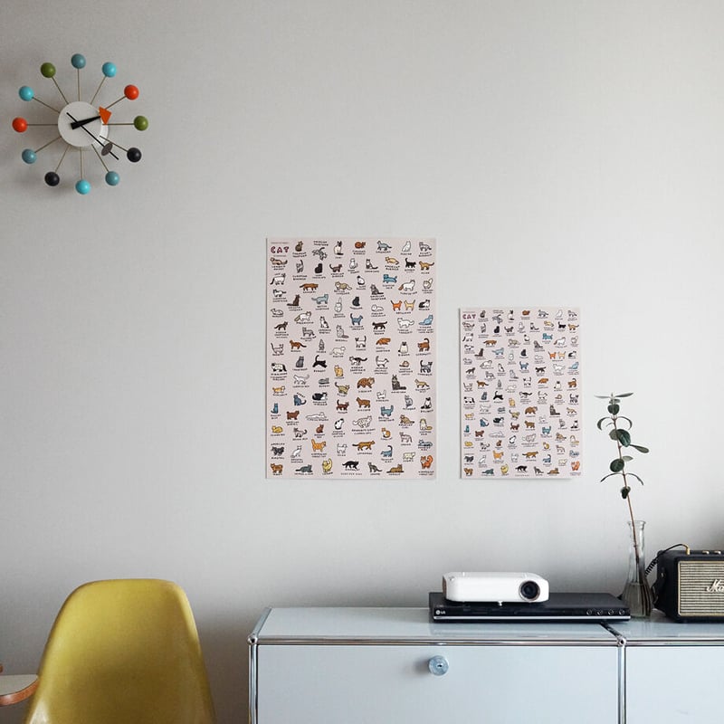 CAT 2 (A3) | Graphic Dictionary Poster | ZERO P