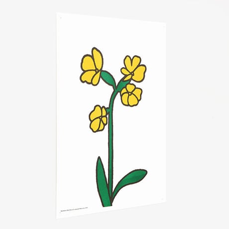 PRIMROSE | Miffy A3 RISO poster