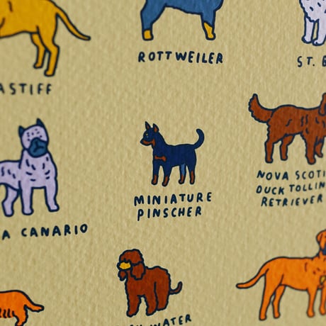 GRAPHIC DICTIONARY - DOG | Silkscreen poster（受注生産商品）