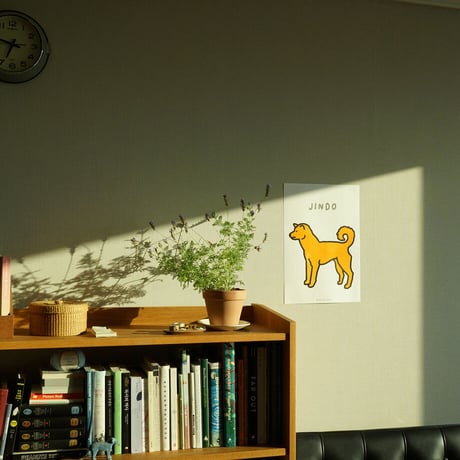 JINDO DOG | A3 RISO poster（受注生産商品）