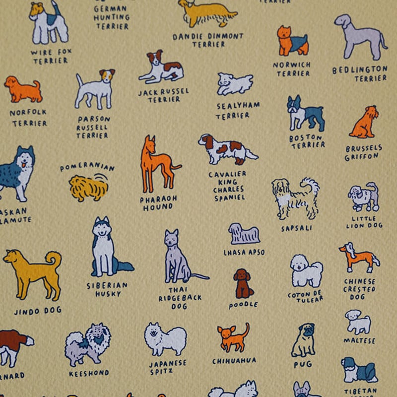 GRAPHIC DICTIONARY - DOG | Silkscreen poster（受注