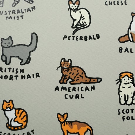 GRAPHIC DICTIONARY - CAT | Silkscreen poster（受注生産商品）