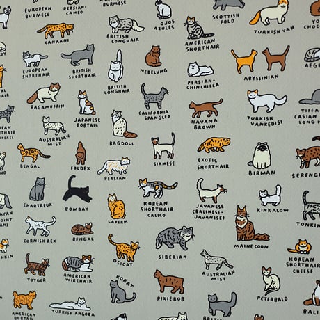 GRAPHIC DICTIONARY - CAT | Silkscreen poster（受注生産商品）
