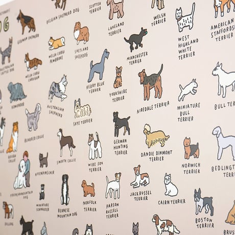 DOG BREEDS (600 x 900) | Graphic Dictionary Poster