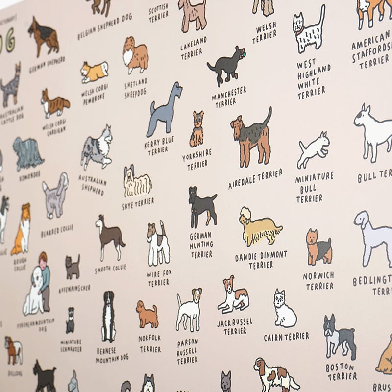 DOG BREEDS (A3) | Graphic Dictionary Poster | Z