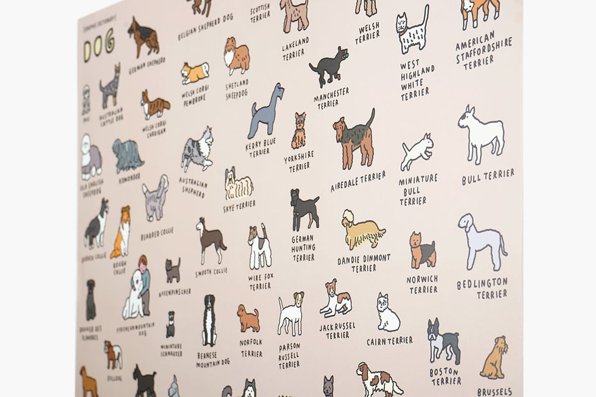 DOG BREEDS (A2) | Graphic Dictionary Poster | Z