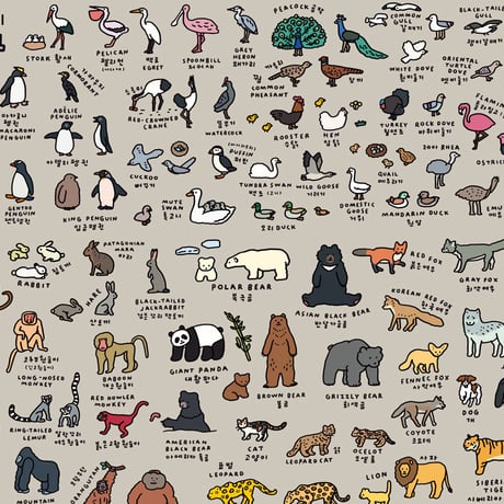 ANIMAL (600 x 900) | Graphic Dictionary Poster