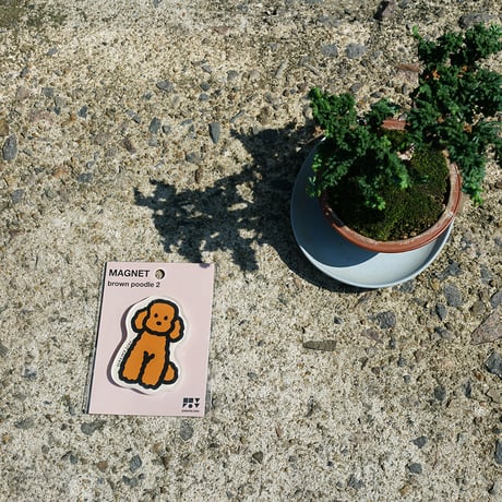 BROWN POODLE 2 | Magnet