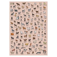 DOG BREEDS (600 x 900) | Graphic Dictionary Poster