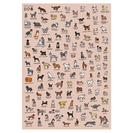 DOG BREEDS (600 x 900) | Graphic Dictionary Poster