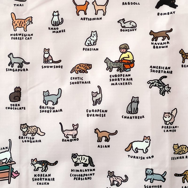 BAGGU standard CAT (GRAPHIC DICTIONARY) | BAGGU