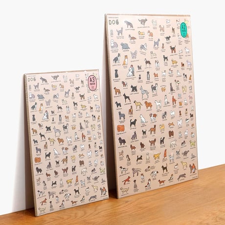 DOG BREEDS (A2) | Graphic Dictionary Poster