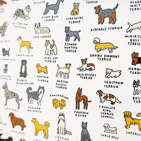 GRAPHIC DICTIONARY - DOG 2 | Silkscreen poster（受注生産商品）