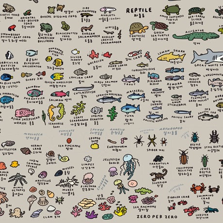 ANIMAL (600 x 900) | Graphic Dictionary Poster