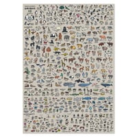 ANIMAL (600 x 900) | Graphic Dictionary Poster