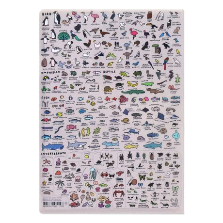 ANIMAL (DICTIONARY) | A4 folder