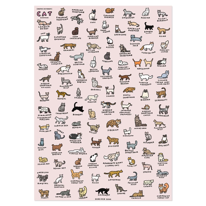CAT 2 (600 x 900) | Graphic Dictionary Poster |