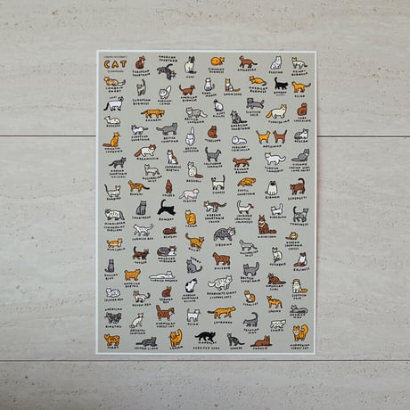 GRAPHIC DICTIONARY - CAT | Silkscreen poster（受注生産商品）