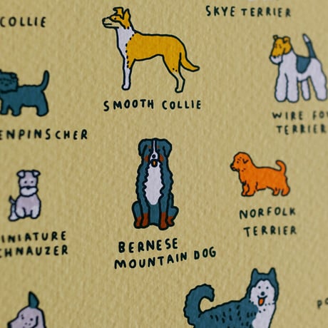 GRAPHIC DICTIONARY - DOG | Silkscreen poster（受注生産商品）