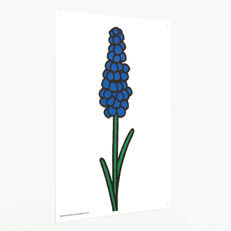 BLUEBELL | Miffy A3 RISO poster