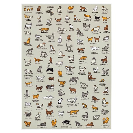 GRAPHIC DICTIONARY - CAT | Silkscreen poster（受注生産商品）