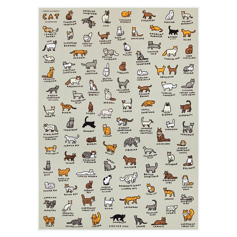 GRAPHIC DICTIONARY - CAT | Silkscreen poster（受注