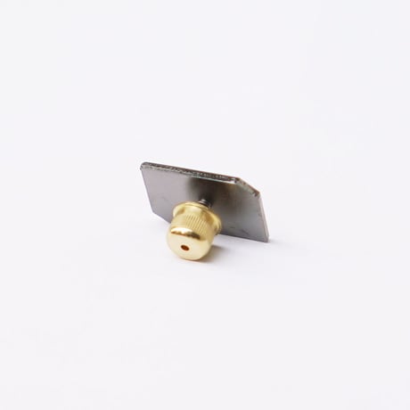 EXPLORER | Pin
