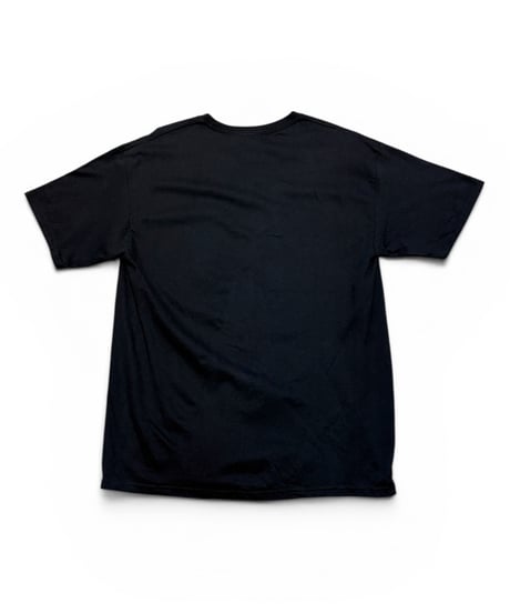 【USED】2000s Red Hot Chili Peppers レッチリ Tシャツ バンドT HANES Lサイズ