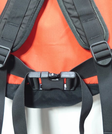 USED 2001s Patagonia MEDIUM DAYPACK POPORANGE グッドコンディション