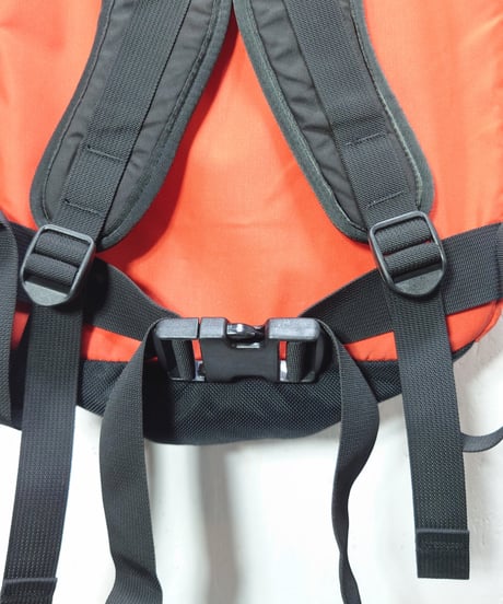 USED 2001s Patagonia MEDIUM DAYPACK POPORANGE グッドコンディション