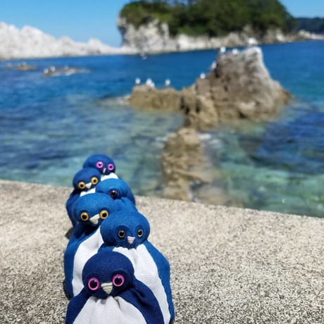 ざしきおとなら　ペンギンっこ  ⑤