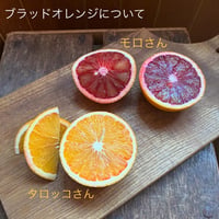 ＊chachapo-ya畑のおいしい＊ブラッドオレンジ モロ種&タロッコ種　合計2.5キロ